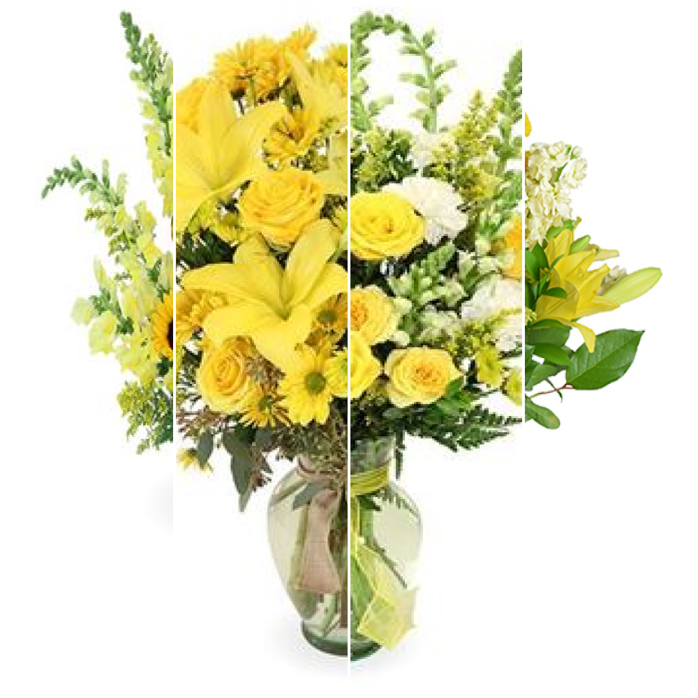 Designer's Choice in YELLOW