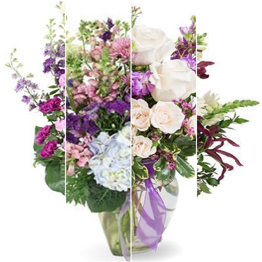 Designers Choice in PURPLE