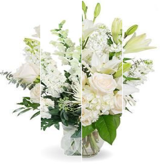 Designer's Choice in WHITE