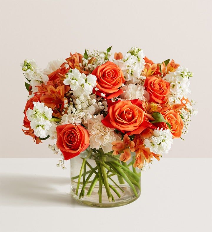 Congratulations Collection - Successful Celebration - Kay Florist