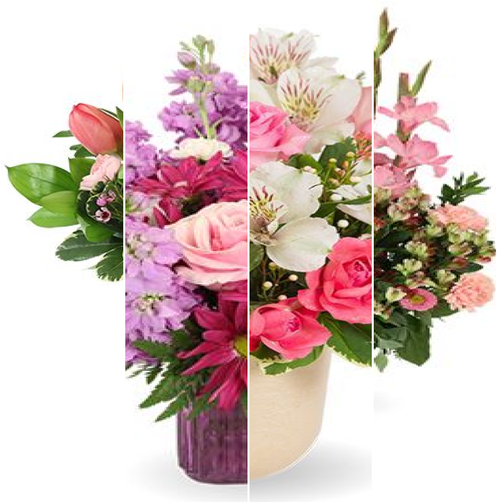 Designer's Choice in PINK